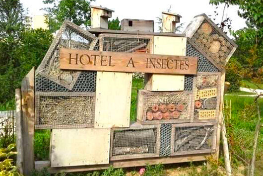 Hôtel à insecte, un abri pour la faune